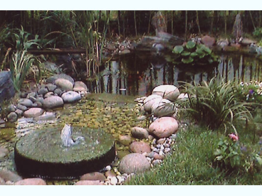 ���ǻ�԰����ˮ��